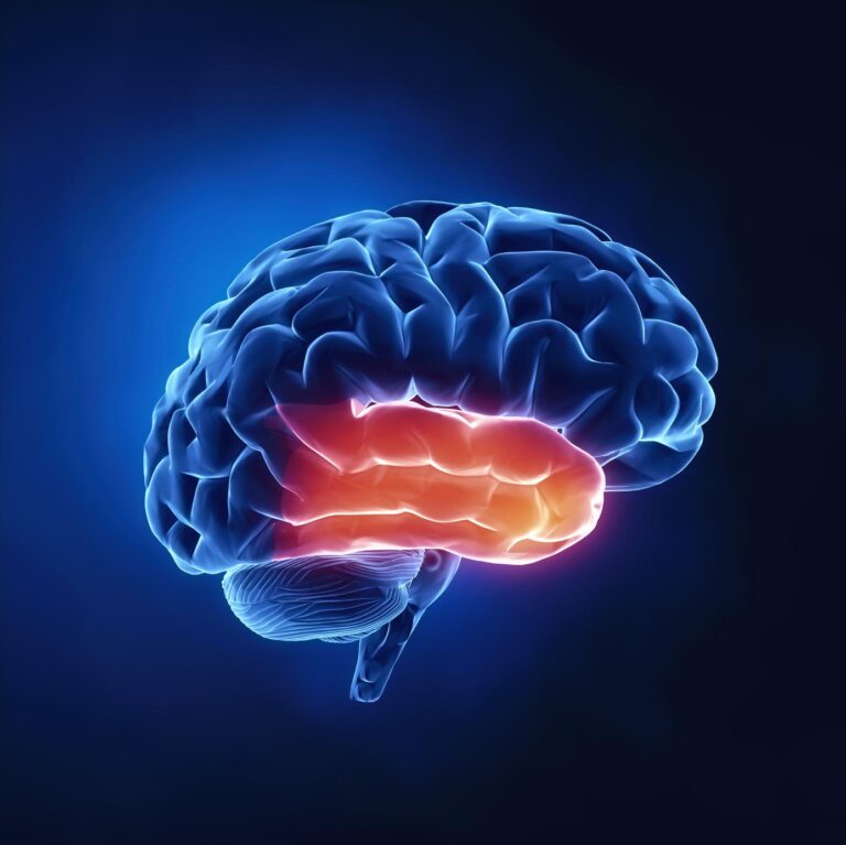 istock_000018792941mediumjpgopnoop